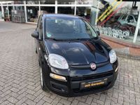Gebraucht Fiat Panda Easy 69 PS (50 kW) 2019 Schwarz Kleinwagen