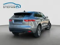 Gebraucht Jaguar F-Pace R-Sport 250 PS (183 kW) 2020 Grau SUV