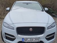 Gebraucht Jaguar F-Pace R-Sport 179 PS (131 kW) 2016 Weiß SUV
