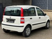 Occasion Fiat Panda Active 54 ch (39 kW) 2009 Blanc Citadine