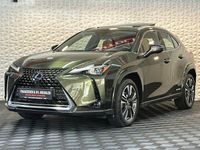 Gebraucht Lexus UX 250h Luxury Line 184 PS (135 kW) 2022 Grün SUV
