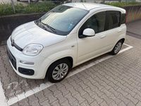 Gebraucht Fiat Panda Lounge 69 PS (50 kW) 2017 Weiß Kleinwagen