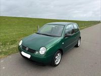 Gebraucht VW Lupo 50 PS (36 kW) 2001 Grün Kleinwagen