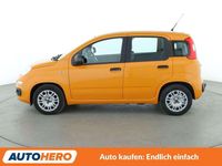 Gebraucht Fiat Panda 69 PS (50 kW) 2021 Arancio solare zucca Kleinwagen