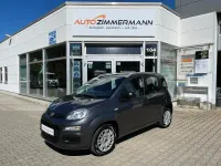 Occasion Fiat Panda Easy 69 ch (50 kW) 2019 Gris Citadine