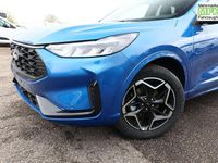Neu Ford Kuga ST-Line 182 PS (133 kW) 2026 Desert island blue metallic SUV