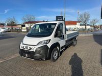 Neu Fiat Ducato 140 PS (102 kW) 2026 Weiß Van