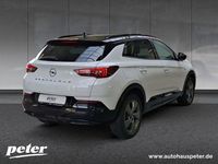 Gebraucht Opel Grandland X 131 PS (96 kW) 2023 Jade weiß SUV