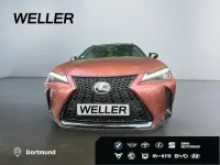 Gebraucht Lexus UX 300h E-FOUR F-Sport 199 PS (146 kW) 2024 Rot SUV