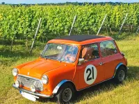 Gebraucht Mini 1000 68 PS (50 kW) 1977 Orange Kleinwagen