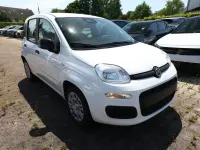 Neu Fiat Panda Icon 65 PS (47 kW) 2026 Gelato weiß Kleinwagen