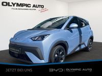 Neu BYD Dolphin Surf Boost 64 kW (88 PS) 2025 Ice blue Kleinwagen