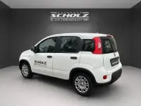 Usata Fiat Panda 70 CV (51 kW) 2024 Bianco Utilitaria
