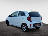 Gebraucht Kia Picanto Vision 67 PS (49 kW) 2024 Weiss ((ud) schneeweiss) Kleinwagen