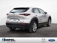 Gebraucht Mazda CX-30 Selection 150 PS (110 kW) 2023 Beige / platinum quartz (metallic) SUV