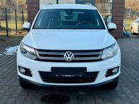 Gebraucht VW Tiguan Life 140 PS (102 kW) 2013 Weiß SUV