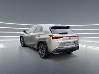 Gebraucht Lexus UX 250h 184 PS (135 kW) 2022 Grau SUV