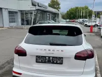 Gebraucht Porsche Cayenne Platinum Edition 262 PS (192 kW) 2017 Weiß SUV