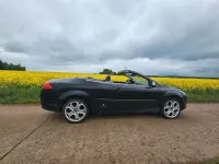 Gebraucht Ford Focus Cabriolet Titanium 145 PS (106 kW) 2010 Cabrio