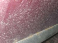 Gebraucht Audi A3 125 PS (91 kW) 1999 Kleinwagen