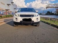 Gebraucht Land Rover Range Rover evoque Dynamic 150 PS (110 kW) 2013 Weiß SUV