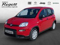 Gebraucht Fiat Panda 69 PS (50 kW) 2024 Weiss) (weiss Kleinwagen