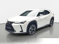 Gebraucht Lexus UX 145 PS (106 kW) 2020 Metallic SUV