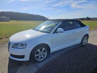 Gebraucht Audi A3 Cabriolet Attraction 102 PS (75 kW) 2009 Weiß Cabrio