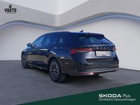Gebraucht Skoda Octavia Selection 150 PS (110 kW) 2025 Schwarz Kombi