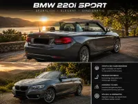 Gebraucht BMW 220 Sport Line 184 PS (135 kW) 2021 Grau Cabrio