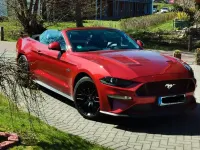 Gebraucht Ford Mustang GT 450 PS (330 kW) 2019 Rot