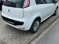 Gebraucht Fiat Punto 69 PS (50 kW) 2011 Weiß Kleinwagen