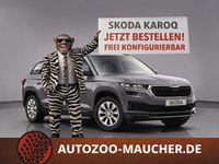 Nowe Skoda Karoq Selection 150 KM (110 kW) 2026 Szary SUV