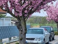 Gebraucht Lexus GS430 283 PS (208 kW) 2003 Silber Limousine