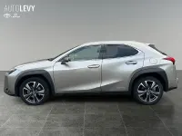 Gebraucht Lexus UX 250h 184 PS (135 kW) 2022 Metallic SUV