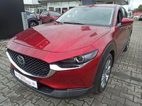 Gebraucht Mazda CX-30 Selection 150 PS (110 kW) 2021 Rot SUV