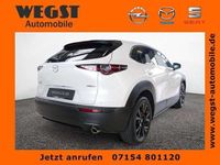 gebraucht Mazda CX-30 e-SKYACTIV-G 150 M Hybrid Homura LED