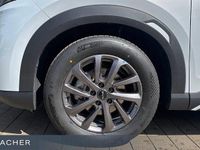 Neu BYD Atto 2 Boost 98 PS (72 kW) 2026 Skiing white SUV