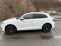 Gebraucht Audi Q5 Design 190 PS (139 kW) 2017 Weiß SUV