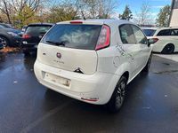 Gebraucht Fiat Punto Young 69 PS (50 kW) 2014 Weiß Kleinwagen