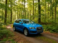 Gebraucht Audi Q5 211 PS (155 kW) 2012 Blau SUV