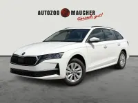Neu Skoda Octavia Selection 116 PS (85 kW) 2026 Weiß Limousine