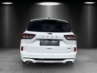 Gebraucht Ford Kuga ST-Line X 150 PS (110 kW) 2021 Weiß SUV
