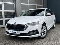Gebraucht Skoda Octavia Style 116 PS (85 kW) 2023 Candyweiss Kombi