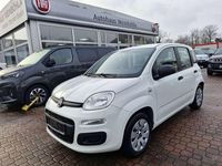 Gebraucht Fiat Panda 69 PS (50 kW) 2015 Gelato weiss Kleinwagen