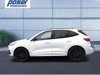 Gebraucht Ford Kuga ST-Line X 224 PS (164 kW) 2024 Weiß SUV