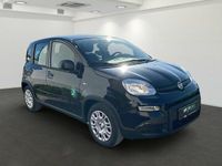 Gebraucht Fiat Panda 69 PS (50 kW) 2024 Schwarz Kleinwagen