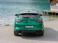 Gebraucht Alfa Romeo Stelvio Quadrifoglio 519 PS (381 kW) 2024 Grün SUV