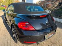 gebraucht VW Beetle Cabriolet Cup BMT*1.Hand*XEN*SH*EDITION