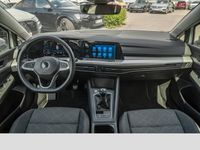 gebraucht VW Golf VIII Life 2.0 TDI Navi ACC LED PDC